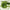 Beauty of Joseon Light On Serum Centella + Vita C