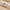 Beauty of Joseon Glow Replenishing Rice Milk - WGLOW