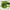 Beauty of Joseon Light On Serum Centella + Vita C - WGLOW